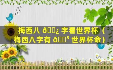 梅西八 🌿 字看世界杯（梅西八字有 🐳 世界杯命）